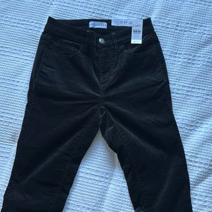Loft Black Velvet Pants